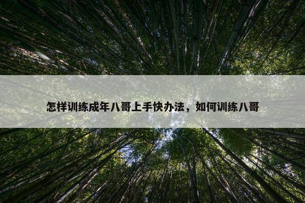 怎样训练成年八哥上手快办法，如何训练八哥