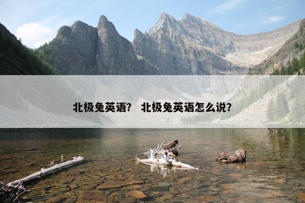 北极兔英语？ 北极兔英语怎么说？