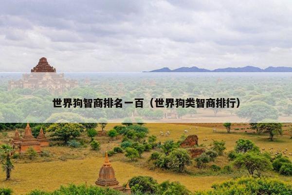 世界狗智商排名一百（世界狗类智商排行）