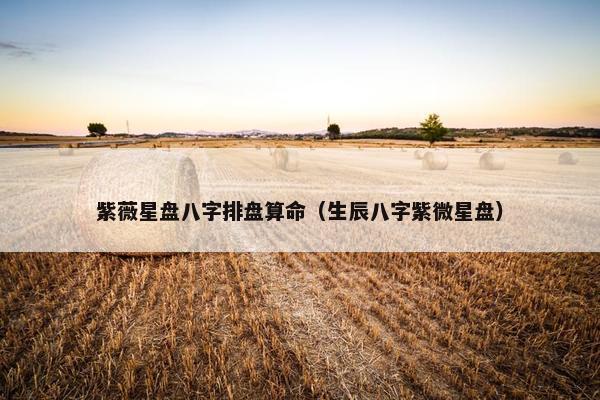 紫薇星盘八字排盘算命（生辰八字紫微星盘）