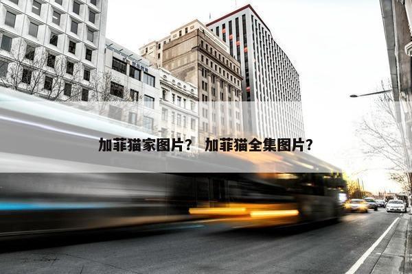 加菲猫家图片？ 加菲猫全集图片？