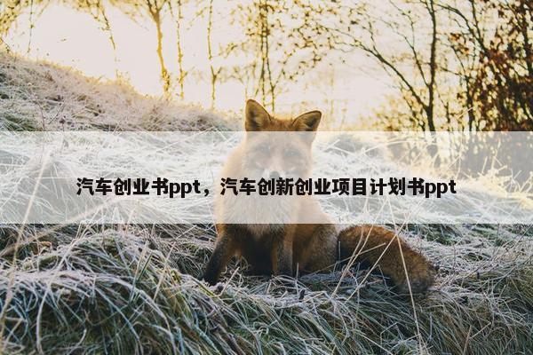 汽车创业书ppt，汽车创新创业项目计划书ppt