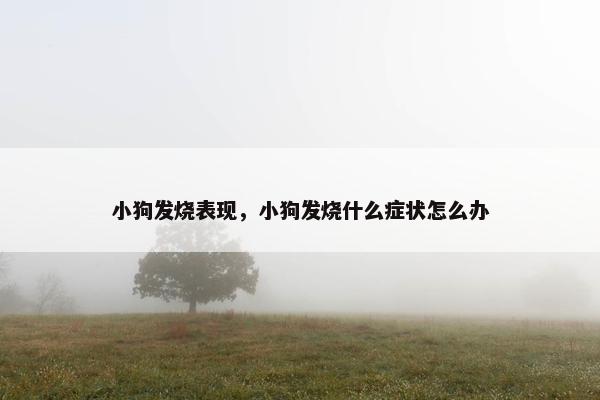 小狗发烧表现，小狗发烧什么症状怎么办