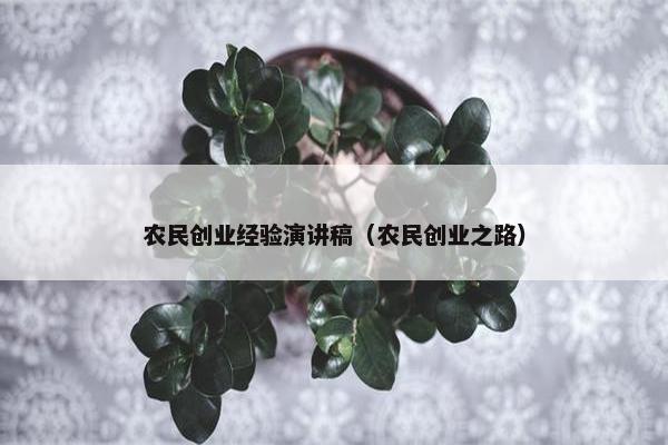 农民创业经验演讲稿（农民创业之路）