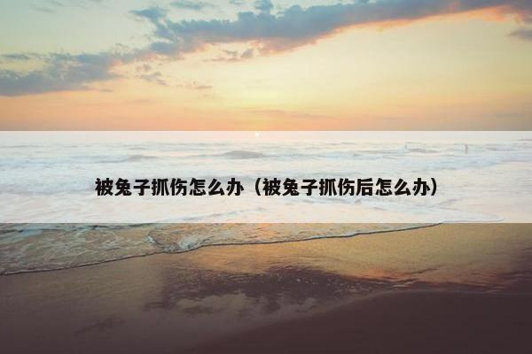 被兔子抓伤怎么办（被兔子抓伤后怎么办）