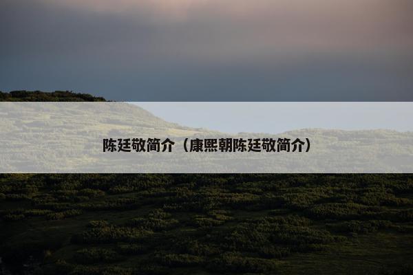 陈廷敬简介（康熙朝陈廷敬简介）