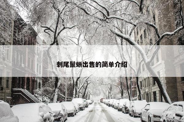 刺尾鬣蜥出售的简单介绍