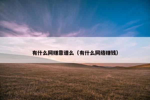 有什么网赚靠谱么（有什么网络赚钱）