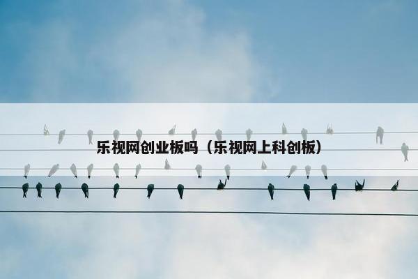 乐视网创业板吗（乐视网上科创板）