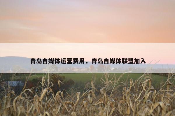 青岛自媒体运营费用，青岛自媒体联盟加入