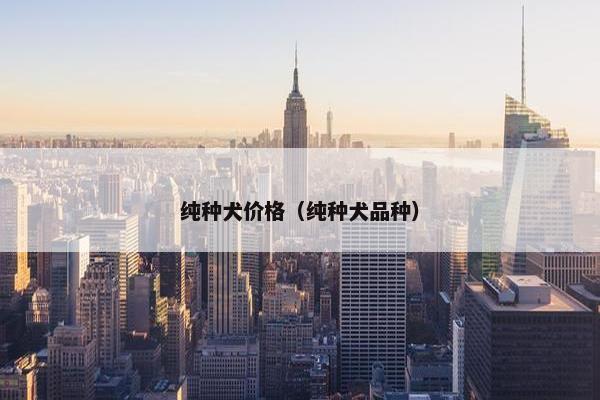 纯种犬价格（纯种犬品种）