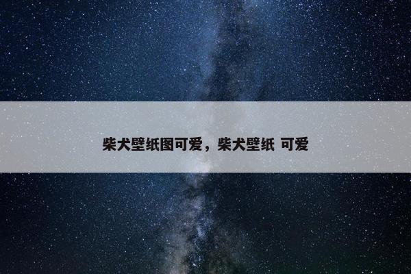 柴犬壁纸图可爱，柴犬壁纸 可爱