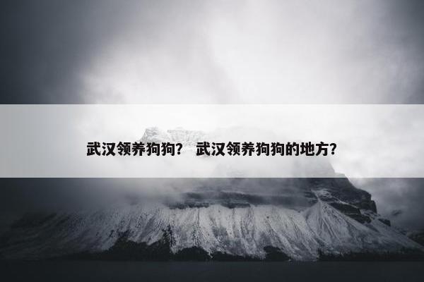武汉领养狗狗？ 武汉领养狗狗的地方？