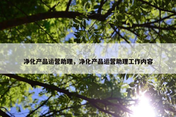 净化产品运营助理，净化产品运营助理工作内容