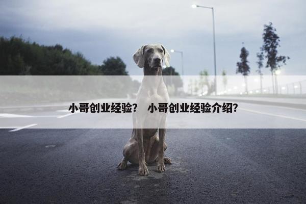 小哥创业经验？ 小哥创业经验介绍？