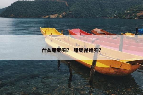 什么腊肠狗？ 腊肠是啥狗？