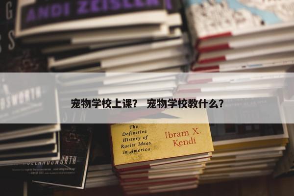 宠物学校上课？ 宠物学校教什么？