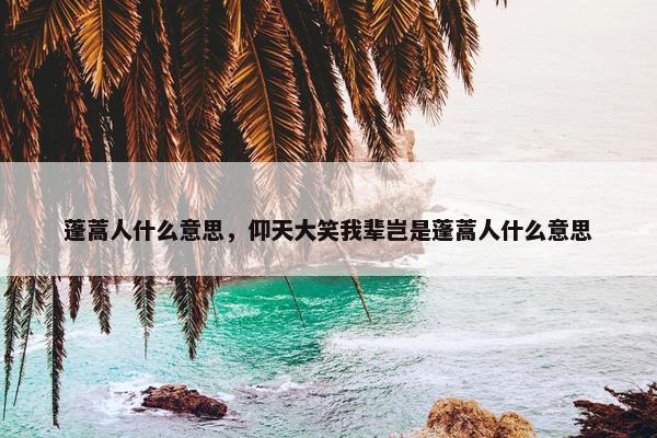 蓬蒿人什么意思，仰天大笑我辈岂是蓬蒿人什么意思