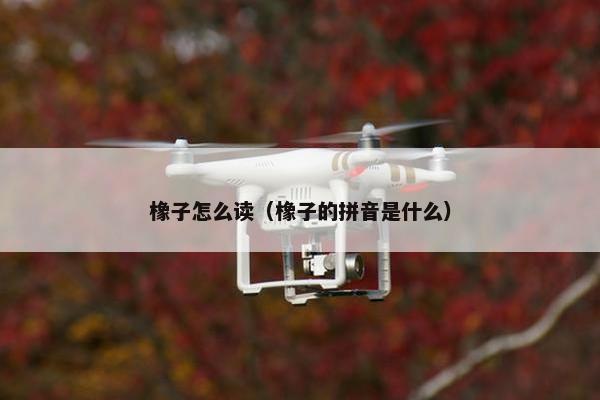 橡子怎么读（橡子的拼音是什么）