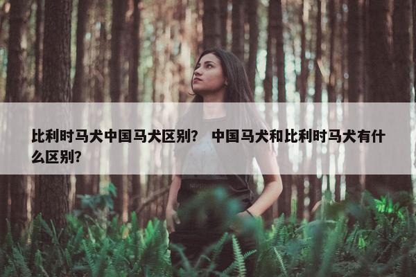 比利时马犬中国马犬区别？ 中国马犬和比利时马犬有什么区别？