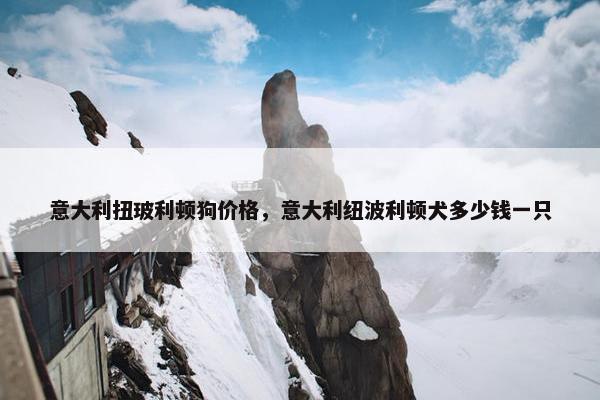 意大利扭玻利顿狗价格，意大利纽波利顿犬多少钱一只