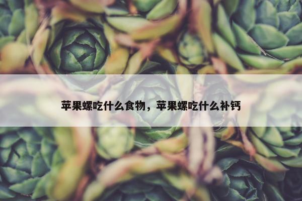 苹果螺吃什么食物，苹果螺吃什么补钙