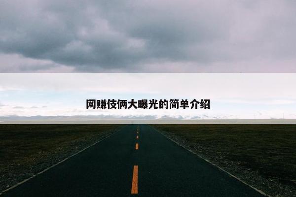 网赚伎俩大曝光的简单介绍