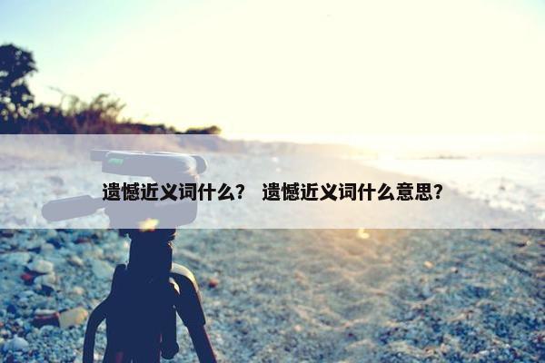 遗憾近义词什么？ 遗憾近义词什么意思？