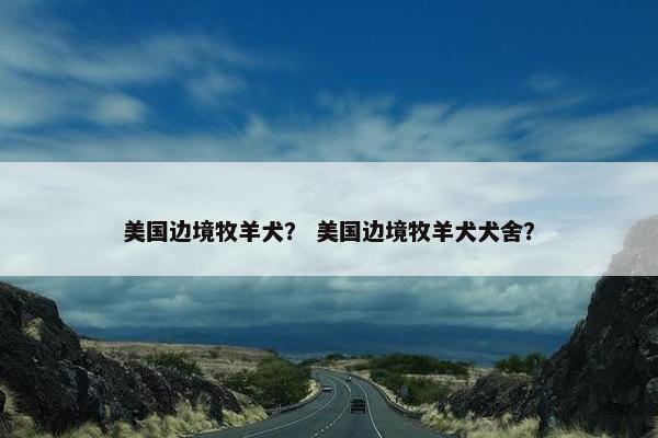 美国边境牧羊犬？ 美国边境牧羊犬犬舍？