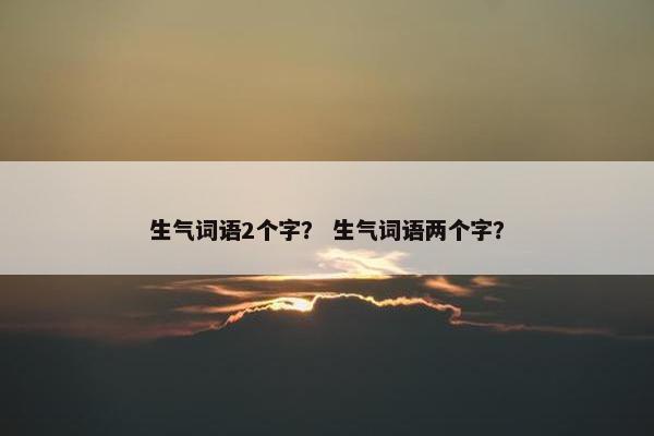 生气词语2个字？ 生气词语两个字？