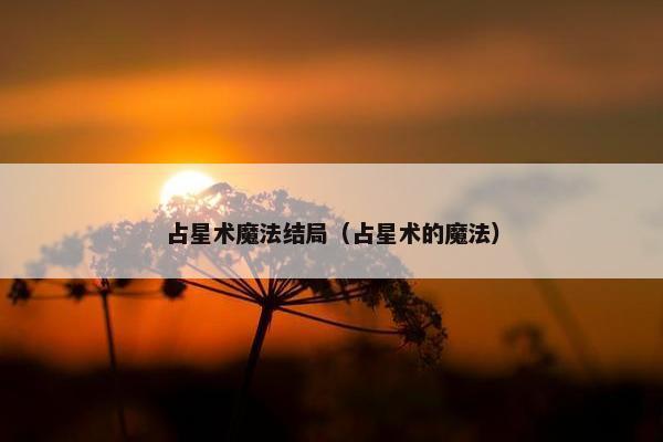 占星术魔法结局（占星术的魔法）
