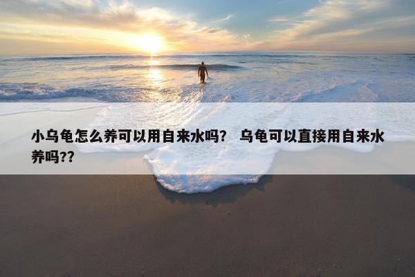 小乌龟怎么养可以用自来水吗？ 乌龟可以直接用自来水养吗?？