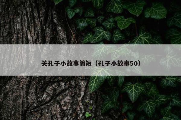 关孔子小故事简短（孔子小故事50）