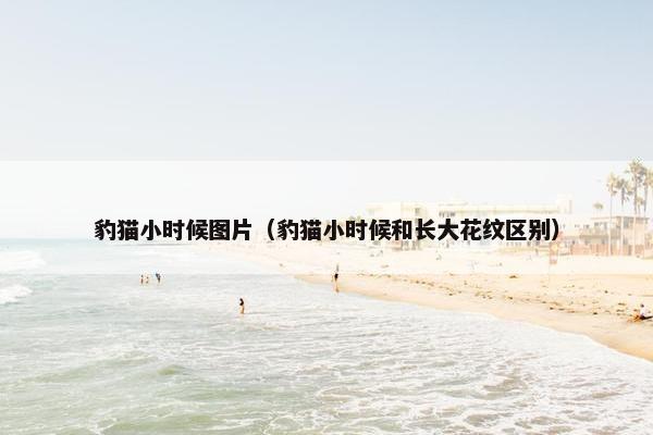 豹猫小时候图片（豹猫小时候和长大花纹区别）