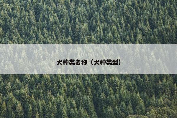 犬种类名称（犬种类型）