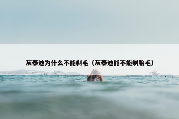灰泰迪为什么不能剃毛（灰泰迪能不能剃胎毛）