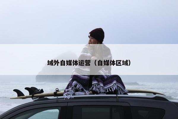 域外自媒体运营（自媒体区域）