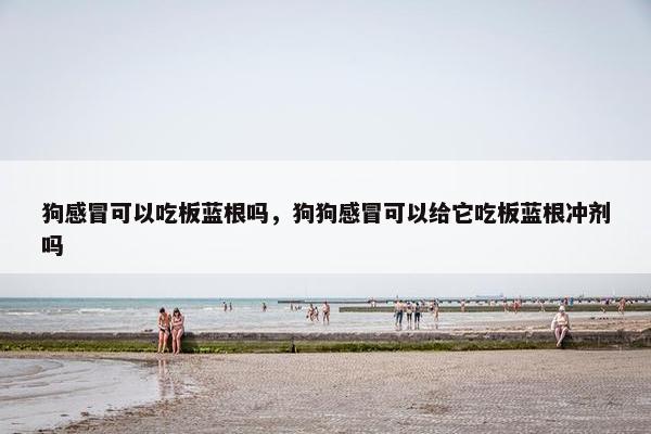 狗感冒可以吃板蓝根吗，狗狗感冒可以给它吃板蓝根冲剂吗