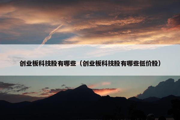 创业板科技股有哪些（创业板科技股有哪些低价股）