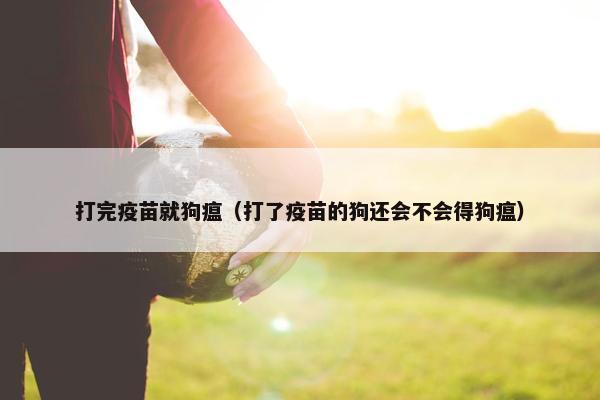 打完疫苗就狗瘟（打了疫苗的狗还会不会得狗瘟）