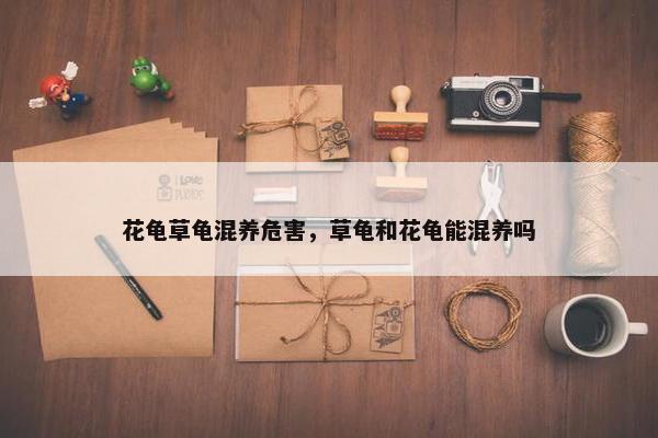 花龟草龟混养危害，草龟和花龟能混养吗