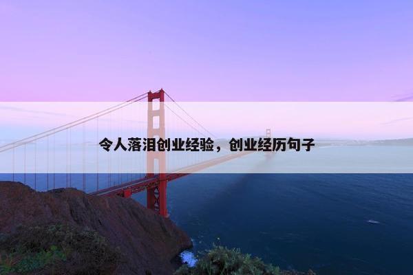 令人落泪创业经验，创业经历句子