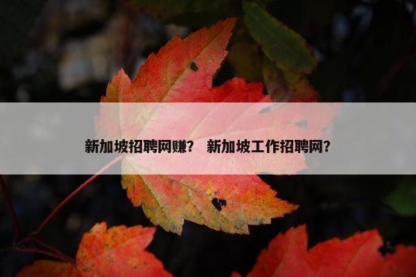 新加坡招聘网赚？ 新加坡工作招聘网？