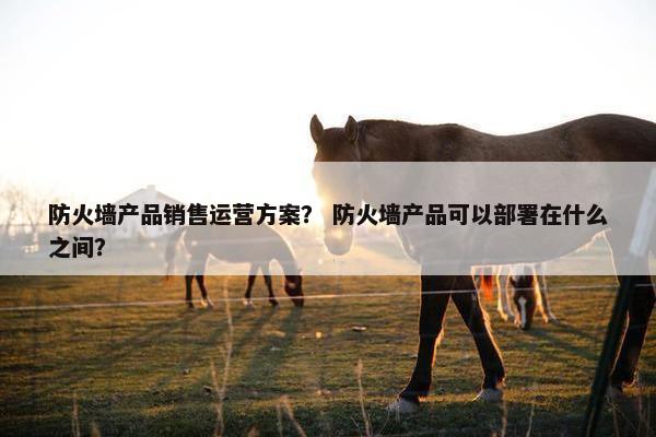 防火墙产品销售运营方案？ 防火墙产品可以部署在什么之间？