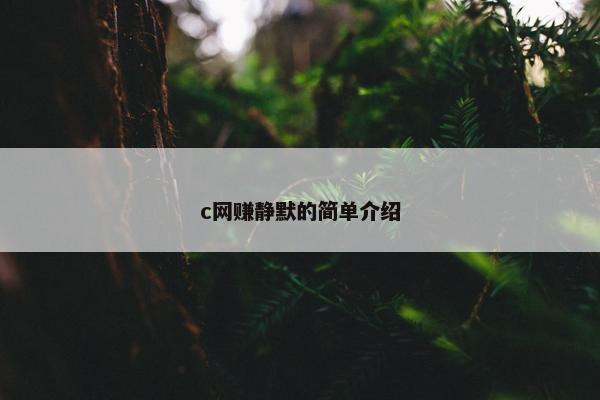 c网赚静默的简单介绍