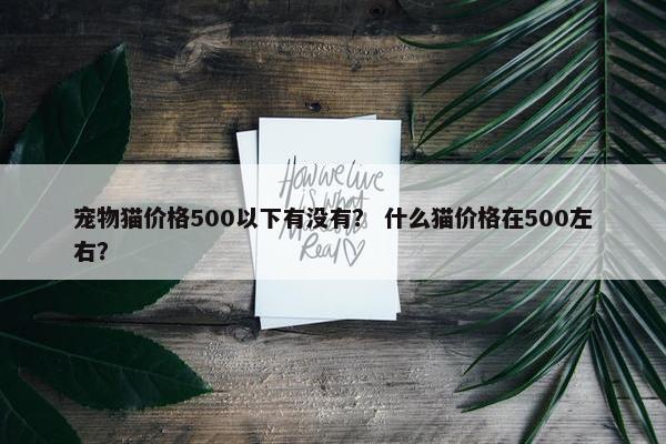 宠物猫价格500以下有没有？ 什么猫价格在500左右？