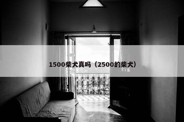1500柴犬真吗（2500的柴犬）