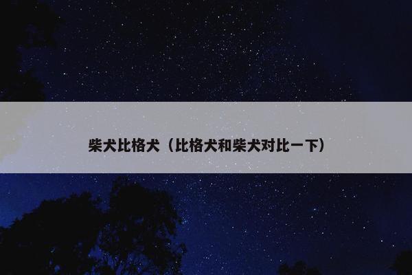 柴犬比格犬（比格犬和柴犬对比一下）