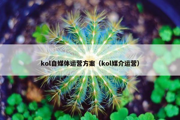 kol自媒体运营方案（kol媒介运营）