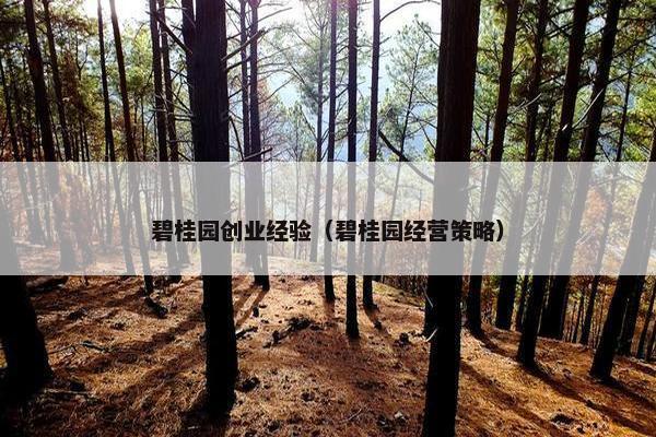 碧桂园创业经验（碧桂园经营策略）
